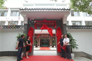 叶开泰中医药文化街区盛大开街，泰原堂引领传统与潮流交融盛宴