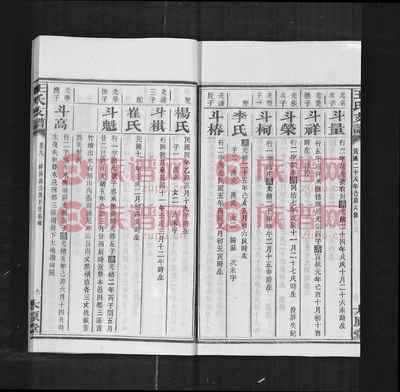 太原堂宁乡乌石王氏六修支谱 源流、字辈与文化传承