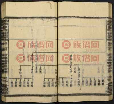 太原堂湘南王氏通谱第18本 堂号与字辈的文化寻根